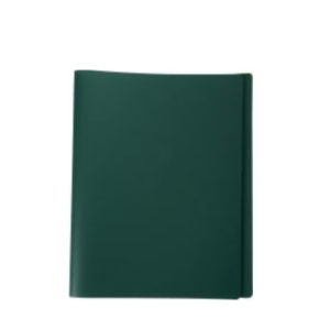 Porte-vues de couleur 60 vues (vert validé par l'enseignante)